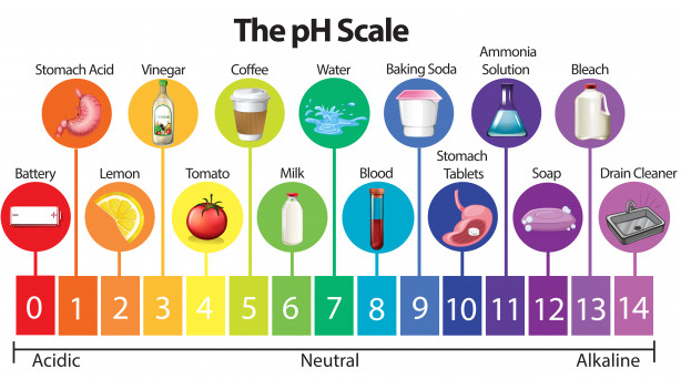 ĐỘ pH CHUẨN CỦA SỮA TƯƠI