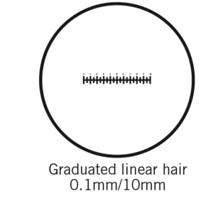 MOTIC - RETICLE FOR BA EYEPIECES - MICROMETER - 100 DIVISIONS IN 10MM - 25MM DIAMETER (1101001401841)