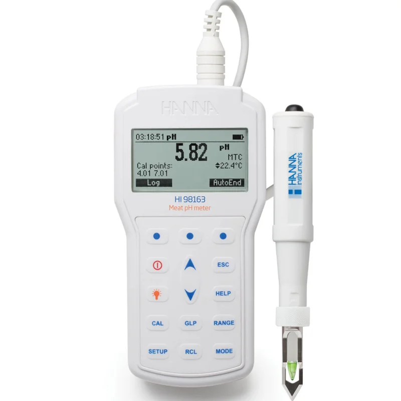 Máy đo pH/°C cầm tay chuyên nghiệp HI98163 dành cho thịt, hãng Hanna Instruments