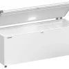 Tủ đông EFL 6055, hãng Liebherr