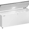Tủ đông EFL 6056, hãng Liebherr